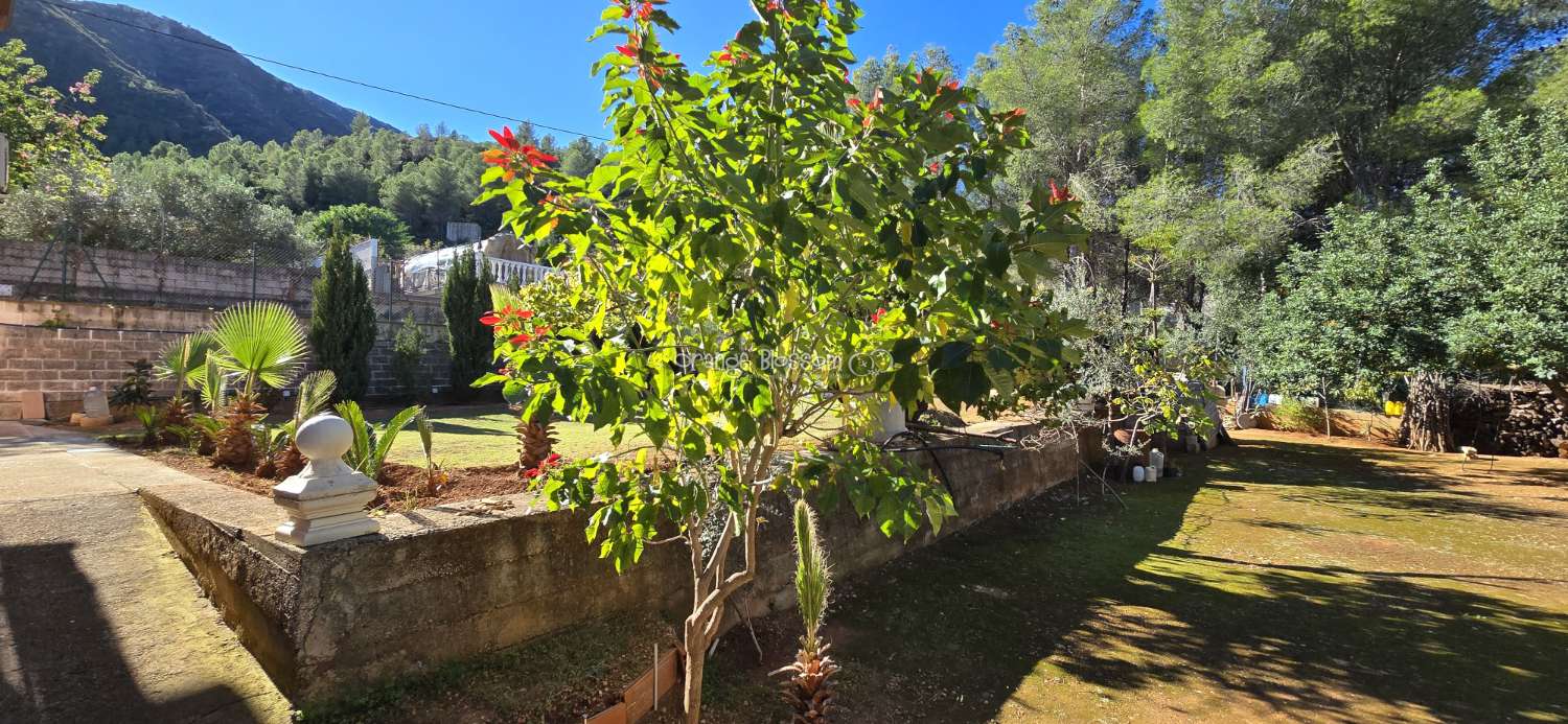 Peace and quiet with fabulous costal views.