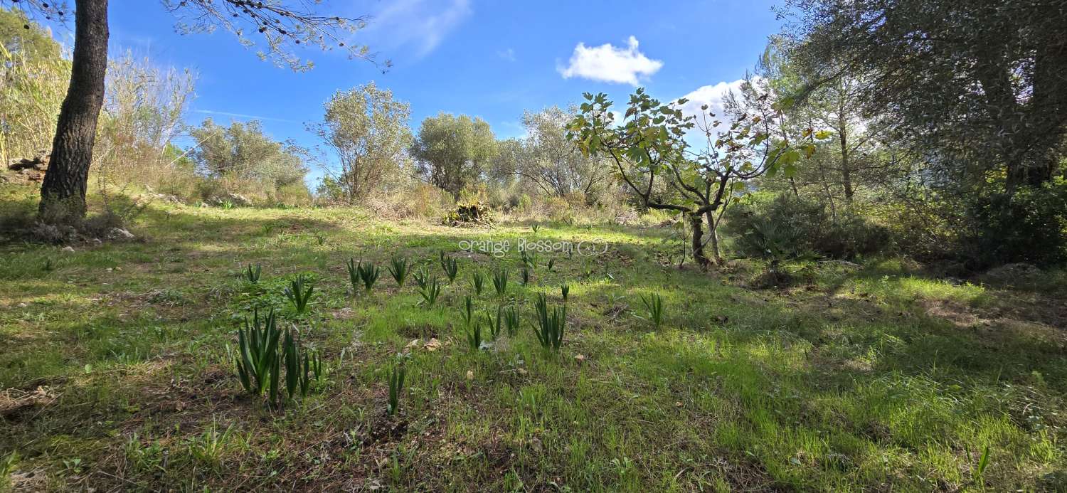 An exceptional opportunity to acquire a truly unique and versatile country residence.