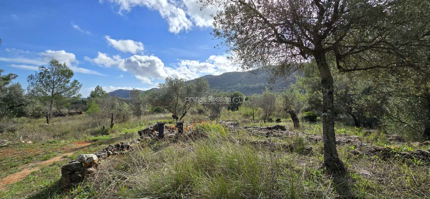 An exceptional opportunity to acquire a truly unique and versatile country residence.