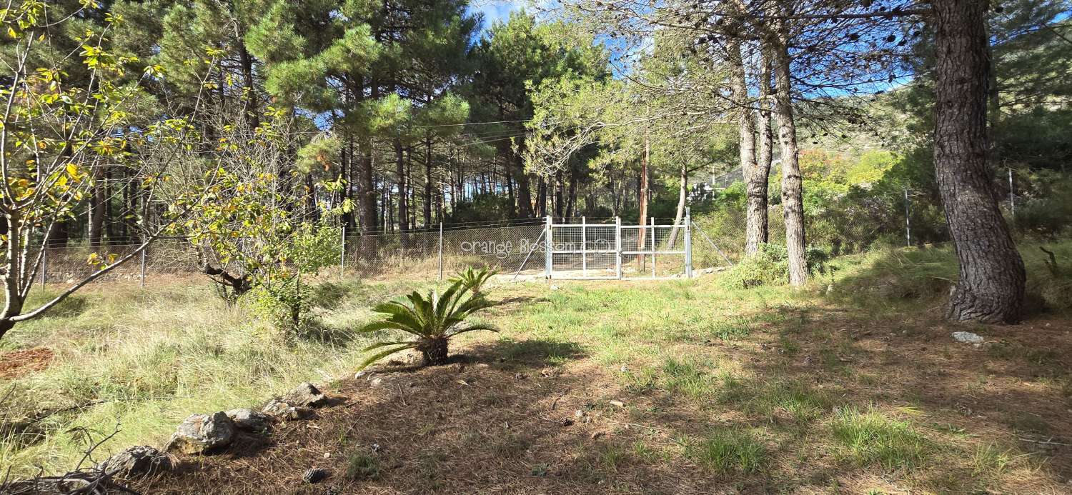 An exceptional opportunity to acquire a truly unique and versatile country residence.