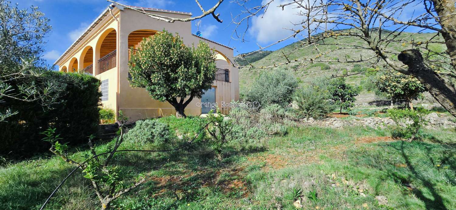 An exceptional opportunity to acquire a truly unique and versatile country residence.