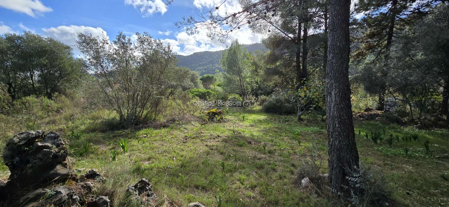 An exceptional opportunity to acquire a truly unique and versatile country residence.