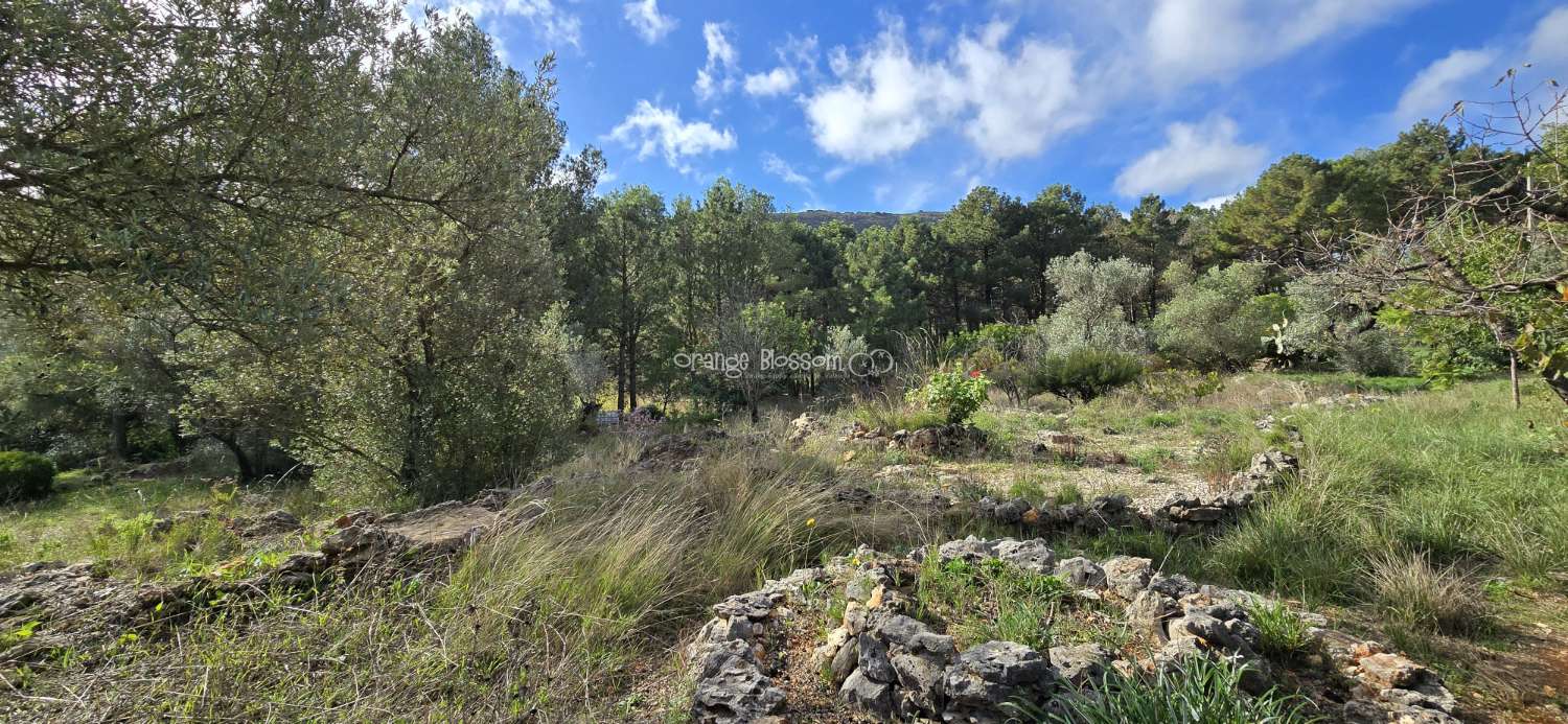 An exceptional opportunity to acquire a truly unique and versatile country residence.