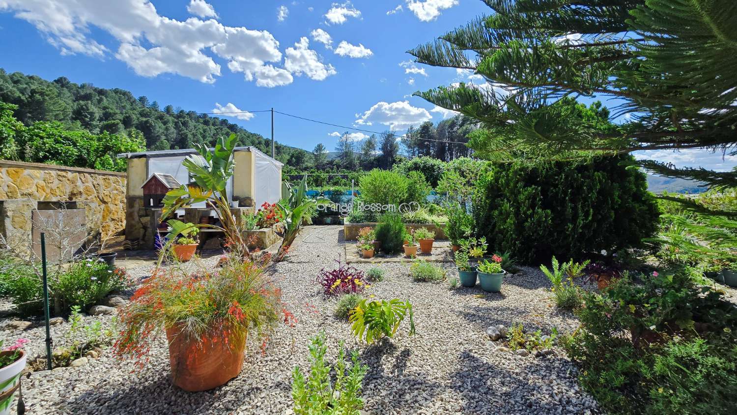 For those with a passion for gardening, the exterior offers enormous potential to create and personalise your own outdoor paradise.