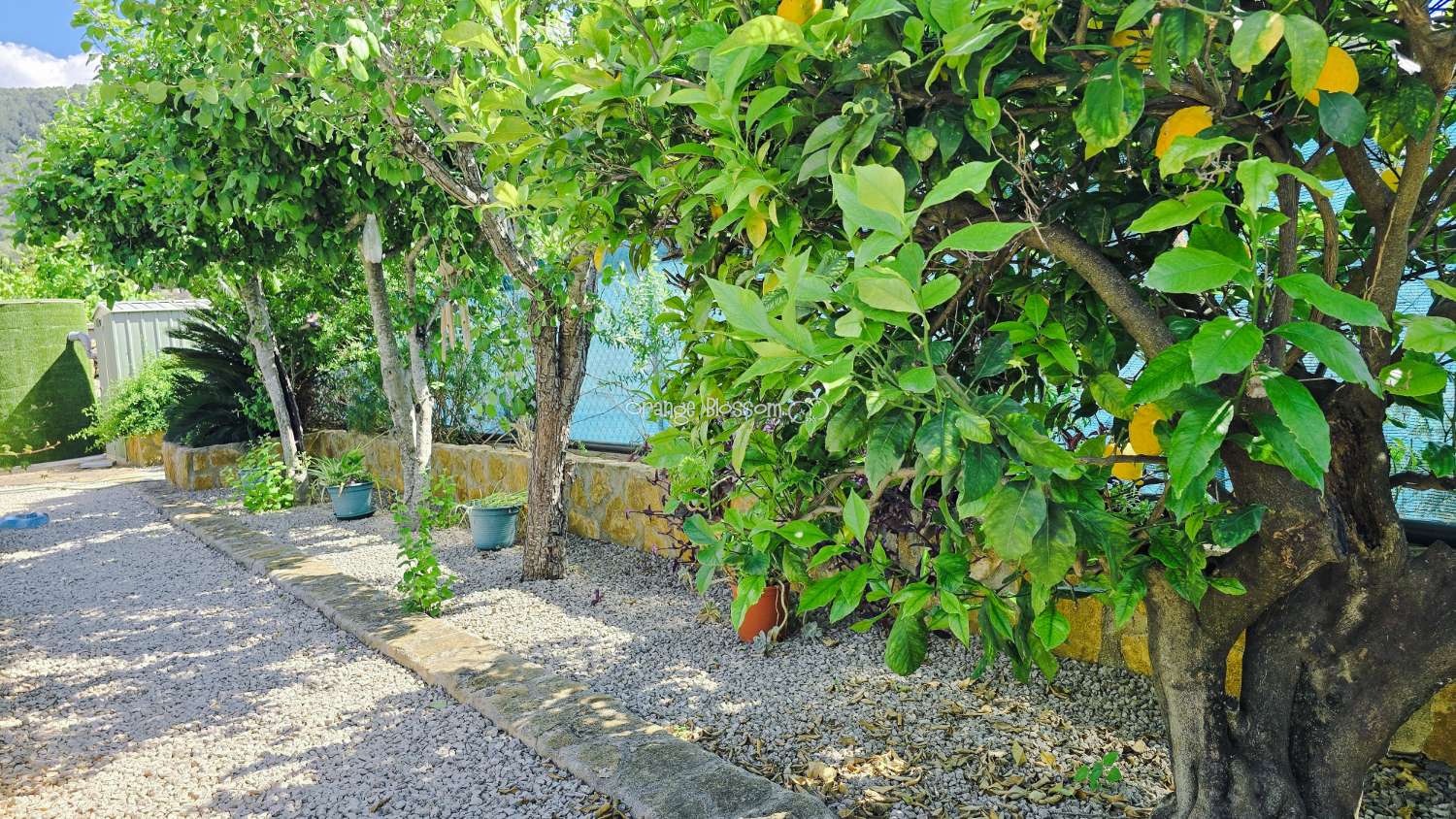 For those with a passion for gardening, the exterior offers enormous potential to create and personalise your own outdoor paradise.