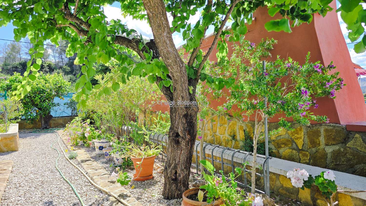 For those with a passion for gardening, the exterior offers enormous potential to create and personalise your own outdoor paradise.