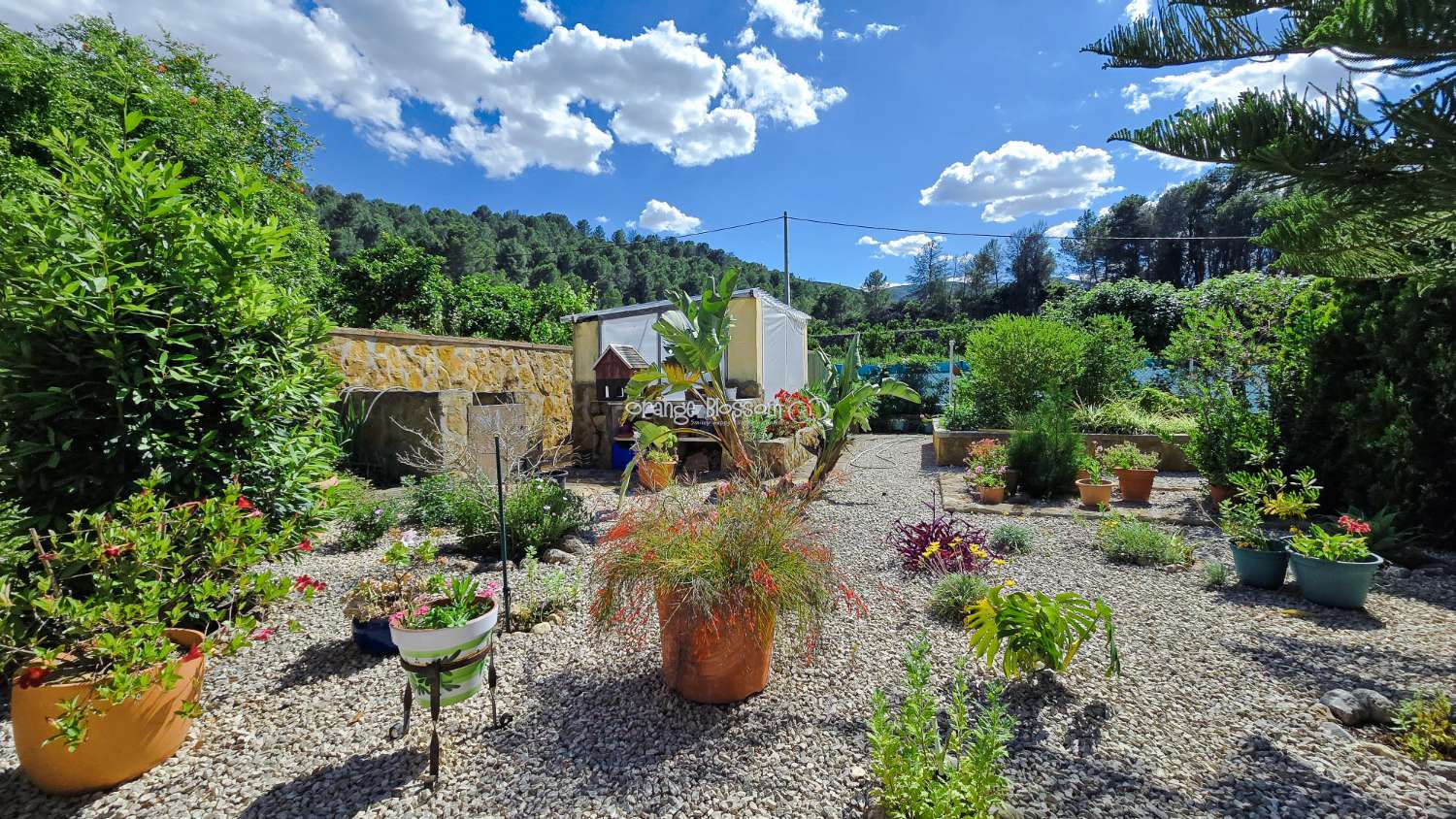 For those with a passion for gardening, the exterior offers enormous potential to create and personalise your own outdoor paradise.