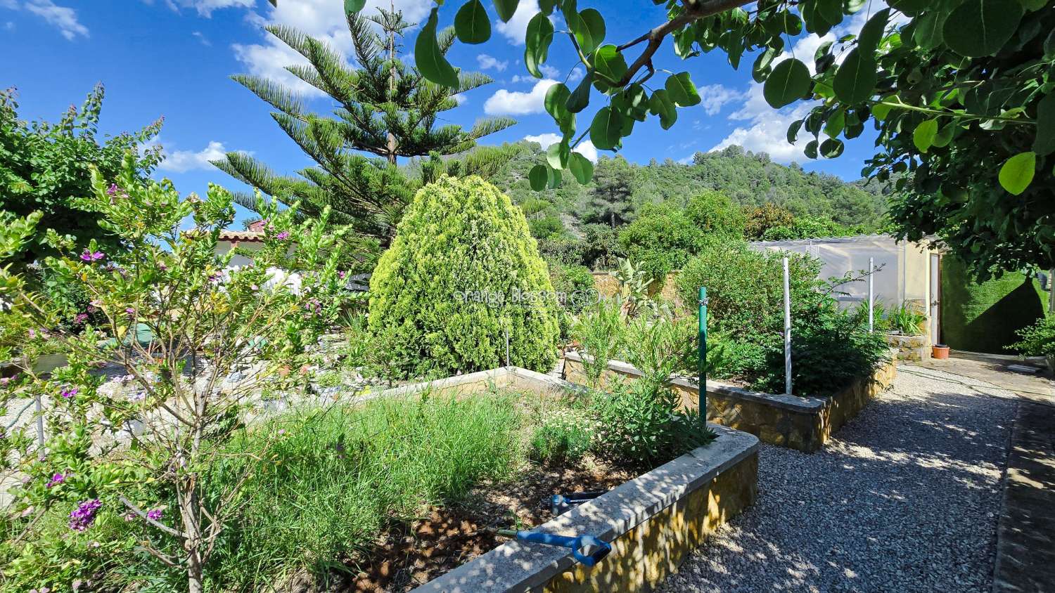 For those with a passion for gardening, the exterior offers enormous potential to create and personalise your own outdoor paradise.