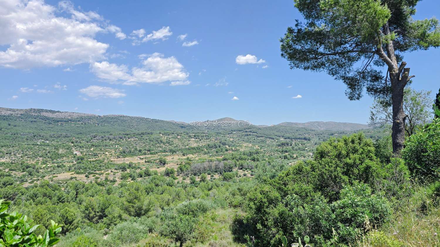 Charming Country Villa with Beautiful Gardens, Swimming Pool and Stunning Valley Views