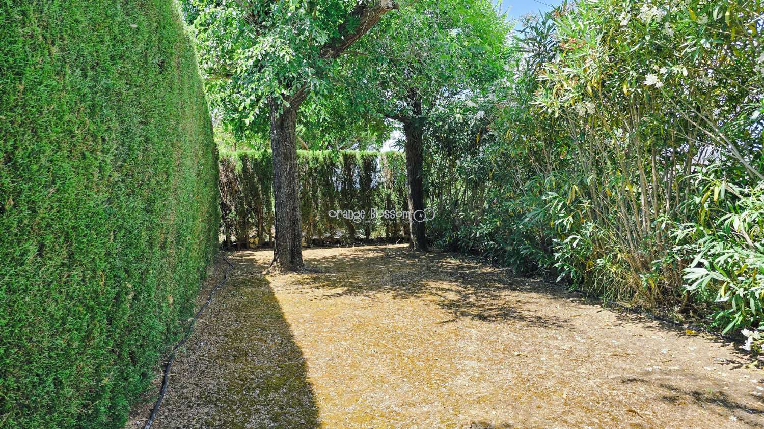 Charming Country Villa with Beautiful Gardens, Swimming Pool and Stunning Valley Views