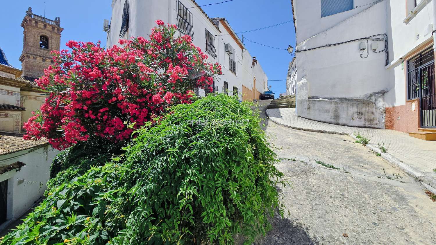 Townhouse with Spectacular Church, Sea and Rooftop Views in the Heart of Oliva