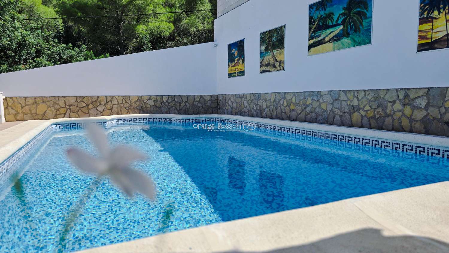 Villa til salg i Villalonga