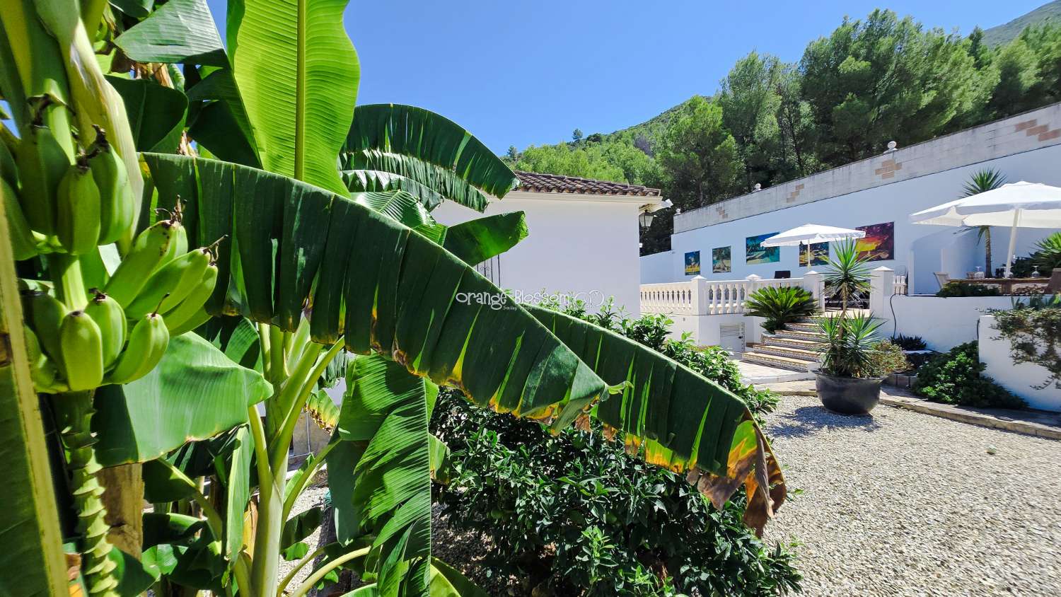 Villa til salg i Villalonga