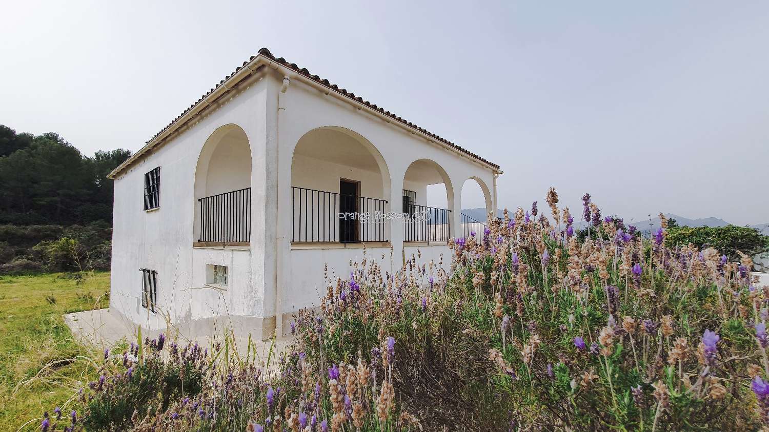 Villa til salg i Villalonga
