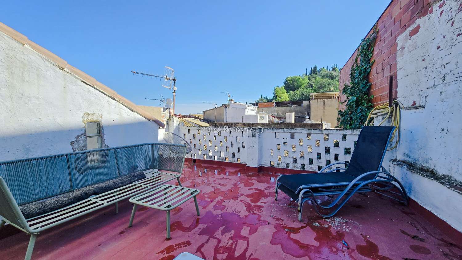 Beautifully Restored Townhouse with Independent Guest Annexe in Villalonga