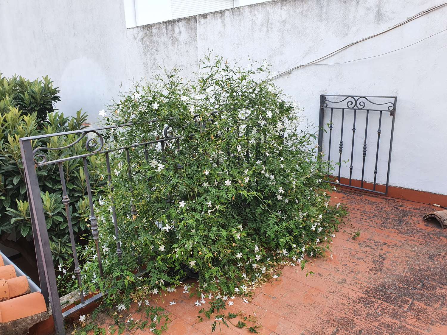 Casa en venda in Villalonga